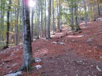 Abstieg vom Berg Ucka