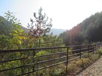 Wanderung entlang der alten Bahnstrecke