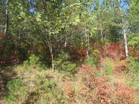 Wanderung entlang der alten Bahnstrecke