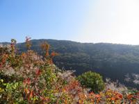 Herbstliche Naturlandschaft