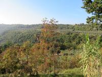 Wanderung bis zur Künstlerstadt