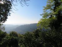 Blick während der Wanderung zum Künstlerdorf