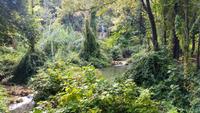 172 Krka Nationalpark