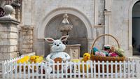 034 Dubrovnik, Osterhase am Kleinen Onofriobrunnen