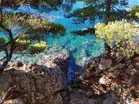 073 Dubrovnik, Küste beim Hotel More - Lapad-Bucht