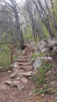 Treppe am Wanderweg