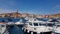 Hafen von Rovinj