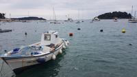 Fischerboot im Hafen von Rovinj