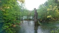 Auch bei Regen ist es schön in Plitvice