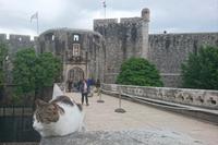 Wächter am Eingangstor Dubrovniks