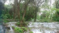 Auch im Wald läuft überall das Wasser entlang, Krka Wasserfälle