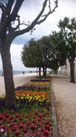 Schön bepflanzte Strandpromenade, Zadar