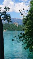 Blick auf die Burg Bled