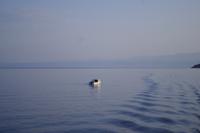 Fahrt zum Sonnenaufgang