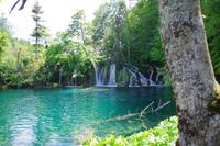 Plitwitzer Seen - Nationalpark