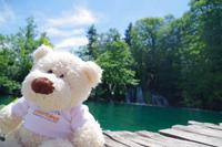 Bärchen im Plitzwitzer Nationalpark