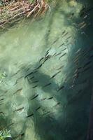 tierische Eindrücke