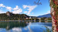 221 Bled mit Burg und Bleder See mit Pletnabooten