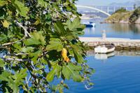 Tag – Ausflug nach Fuzzine (4)