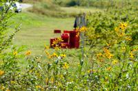 Tag – Ausflug zur Weinlese (17)