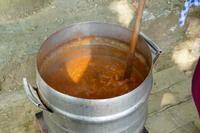 Tag – Ausflug zur Weinlese (29)