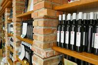 Tag – Ausflug zur Weinlese (32)