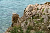 Tag – Wanderung nach Njivice (12)