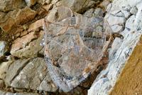 Tag – Wanderung nach Njivice (22)