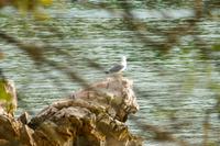 Tag – Wanderung nach Njivice (28)