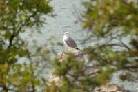 Tag – Wanderung nach Njivice (29)