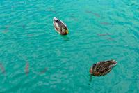 Tag – Ausflug zu den Plitwizter Seen (17)