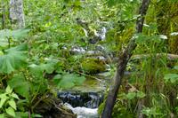 Tag – Ausflug zu den Plitwizter Seen (22)