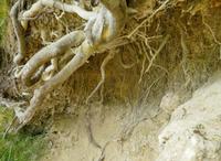 Tag – Ausflug zu den Plitwizter Seen (27)