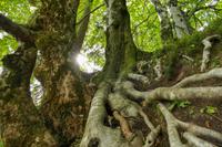 Tag – Ausflug zu den Plitwizter Seen (28)