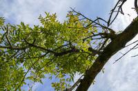 Tag – Ausflug zu den Plitwizter Seen (32)