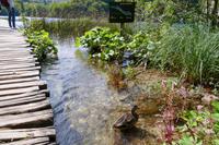 Tag – Ausflug zu den Plitwizter Seen (44)