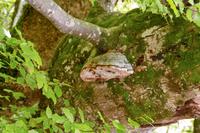 Tag – Ausflug zu den Plitwizter Seen (45)