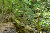 Tag – Ausflug zu den Plitwizter Seen (48)