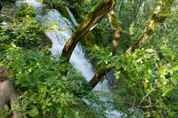 Tag – Ausflug zu den Plitwizter Seen (55)