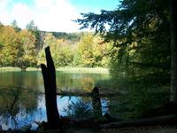 Im Nationalpark der Plitwitzer Seen 