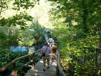 Im Nationalpark der Plitwitzer Seen 