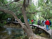 Eberhardt - Reisegruppe im Krka- Nationalpark 