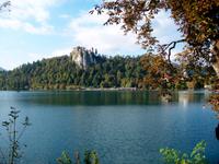 Bled