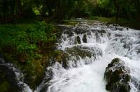 185 Krka NP