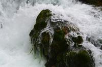 186 Krka NP