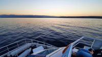 Singlereise Kroatien - Bootsfahrt zum Sonnenaufgang  