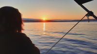 Singlereise Kroatien - Bootsfahrt zum Sonnenaufgang  