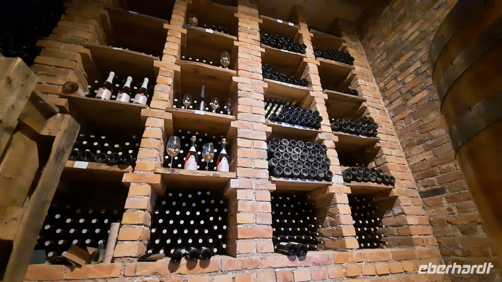 Singlereise Kroatien - im Weinkeller