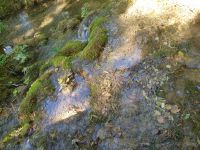 0805 Krka Nationalpark