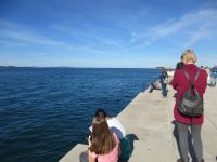 Meeresorgel in Zadar